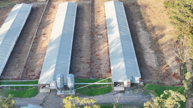Unknown Free Range Eggs - Wilberforce - Drone Footage