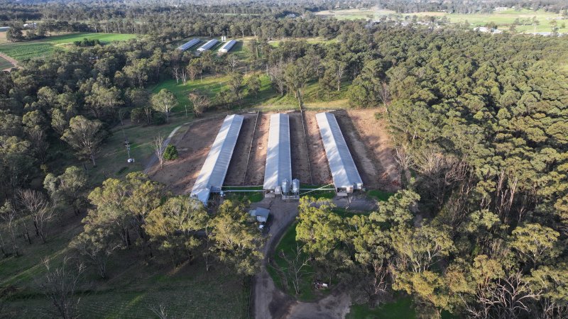 Unknown Free Range Eggs - Wilberforce - Drone Footage