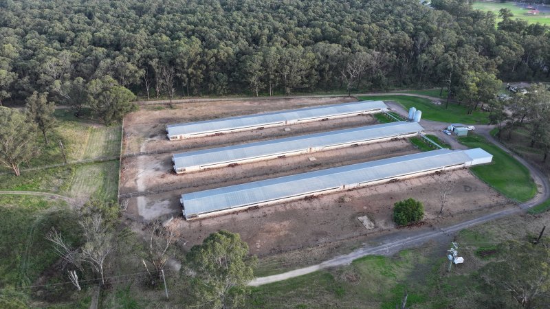 Unknown Free Range Eggs - Wilberforce - Drone Footage