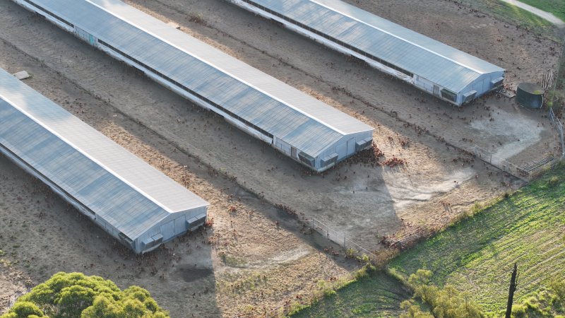 Unknown Free Range Eggs - Wilberforce - Drone Footage