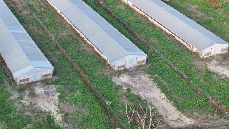 Unknown Free Range Eggs - Wilberforce - Drone Footage