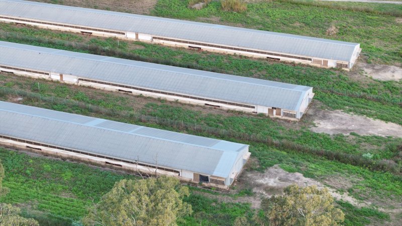 Unknown Free Range Eggs - Wilberforce - Drone Footage