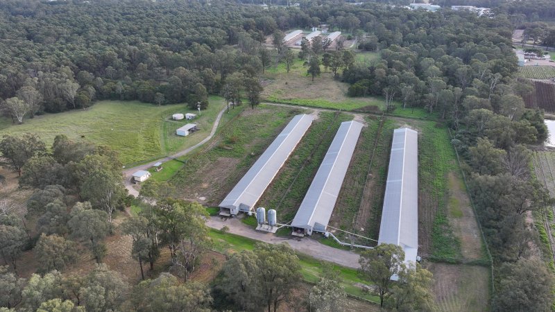 Unknown Free Range Eggs - Wilberforce - Drone Footage