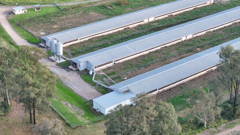 Unknown Free Range Eggs - Wilberforce - Drone Footage