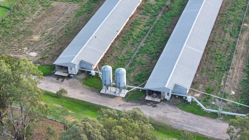 Unknown Free Range Eggs - Wilberforce - Drone Footage