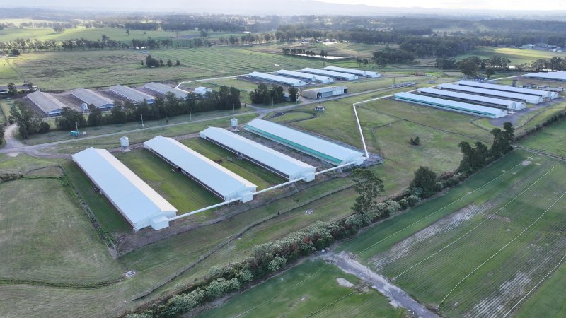 Terrace Farm - Free Range Eggs - Drone Footage