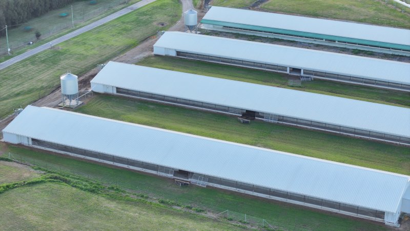Terrace Farm - Free Range Eggs - Drone Footage