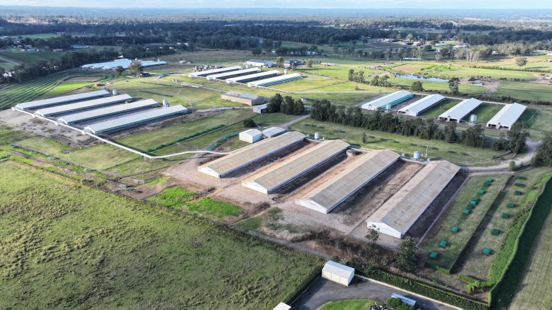 Terrace Farm - Free Range Eggs - Drone Footage