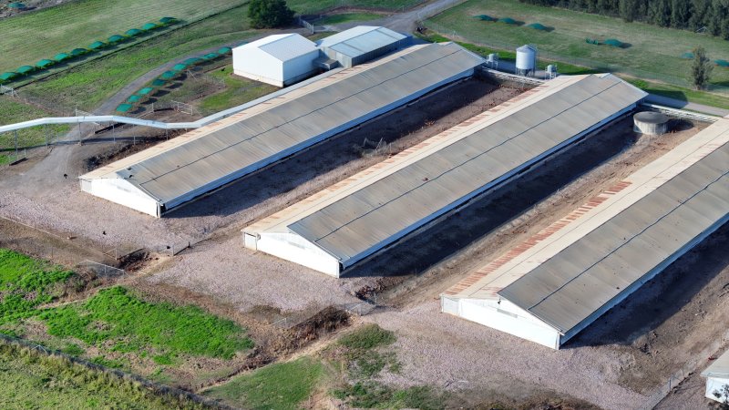 Terrace Farm - Free Range Eggs - Drone Footage