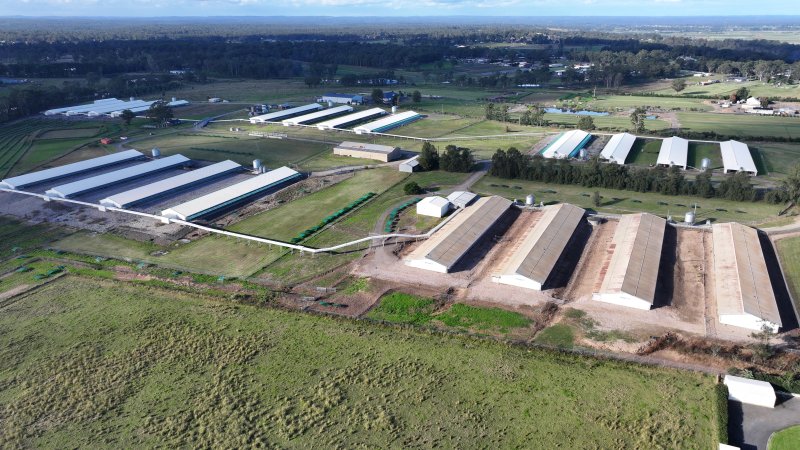 Terrace Farm - Free Range Eggs - Drone Footage