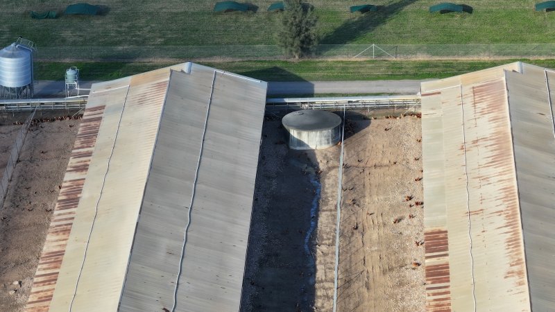 Terrace Farm - Free Range Eggs - Drone Footage