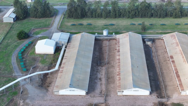Terrace Farm - Free Range Eggs - Drone Footage