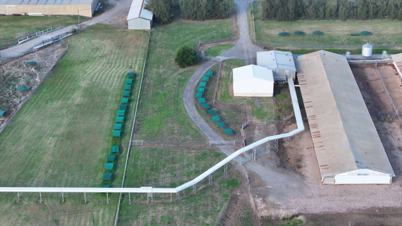 Terrace Farm - Free Range Eggs - Drone Footage