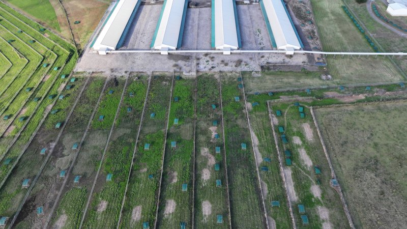 Terrace Farm - Free Range Eggs - Drone Footage