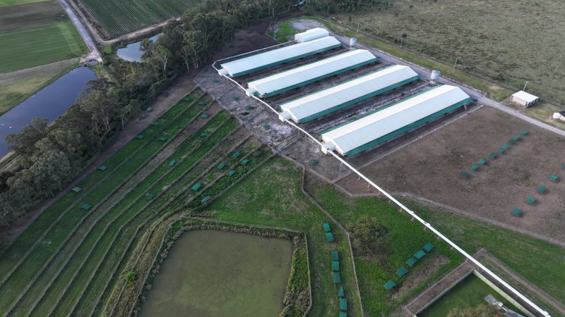 Terrace Farm - Free Range Eggs - Drone Footage