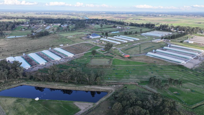 Terrace Farm - Free Range Eggs - Drone Footage