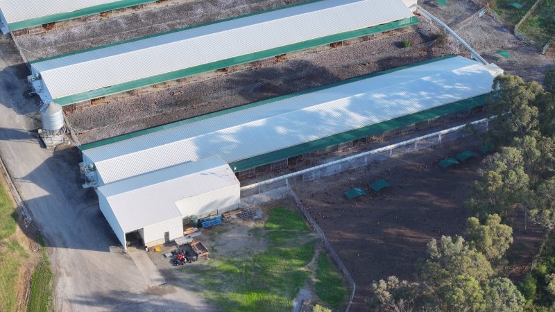 Terrace Farm - Free Range Eggs - Drone Footage