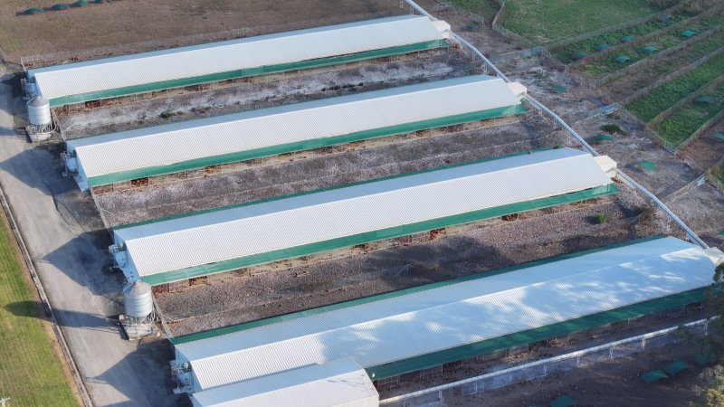 Terrace Farm - Free Range Eggs - Drone Footage