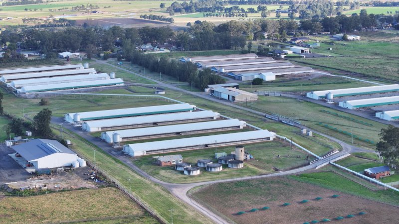 Terrace Farm - Free Range Eggs - Drone Footage