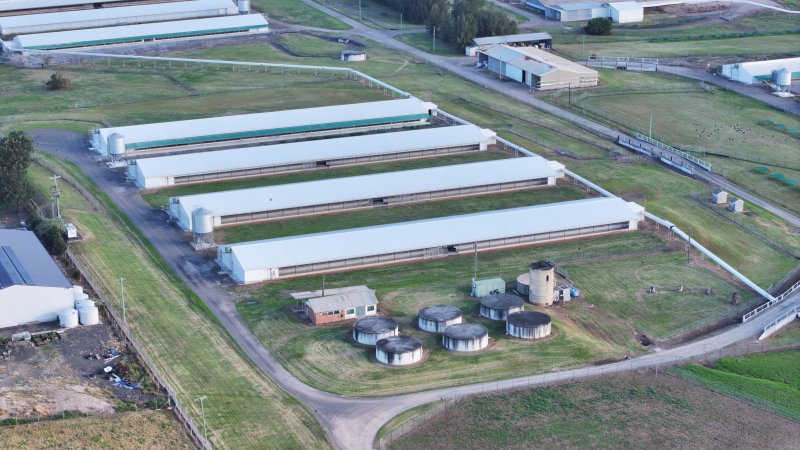 Terrace Farm - Free Range Eggs - Drone Footage