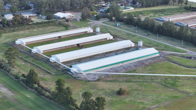 Terrace Farm - Free Range Eggs - Drone Footage