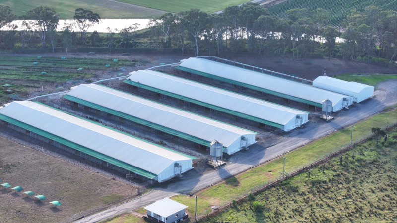 Terrace Farm - Free Range Eggs - Drone Footage