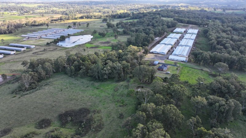 Glossodia Poultry Facility - Drone