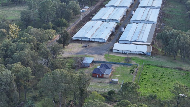 Glossodia Poultry Facility - Drone