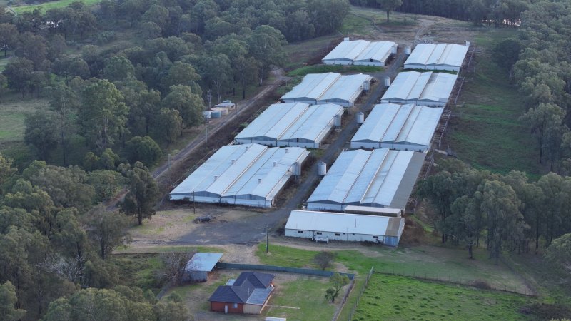 Glossodia Poultry Facility - Drone