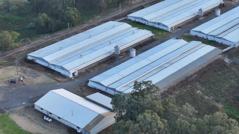 Glossodia Poultry Facility - Drone