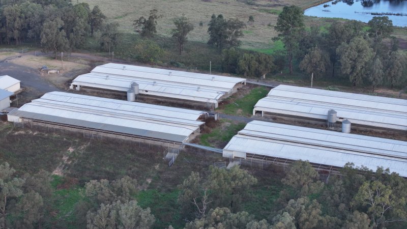 Glossodia Poultry Facility - Drone