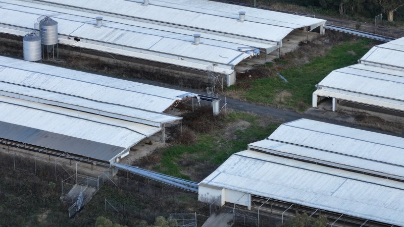 Glossodia Poultry Facility - Drone