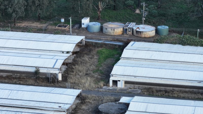 Glossodia Poultry Facility - Drone