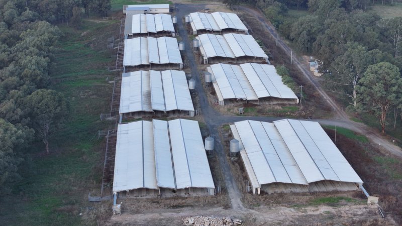Glossodia Poultry Facility - Drone