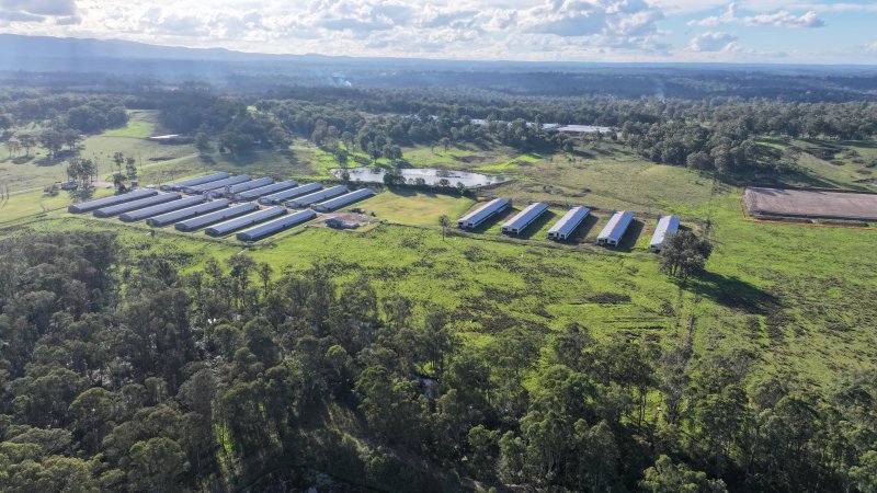 Analee Enterprises - Drone Footage