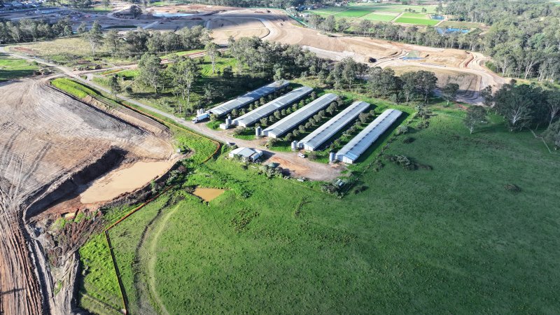 Jacaranda Farm - Baiada Broiler - Drone