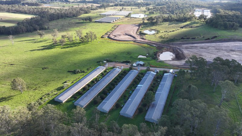 Jacaranda Farm - Baiada Broiler - Drone