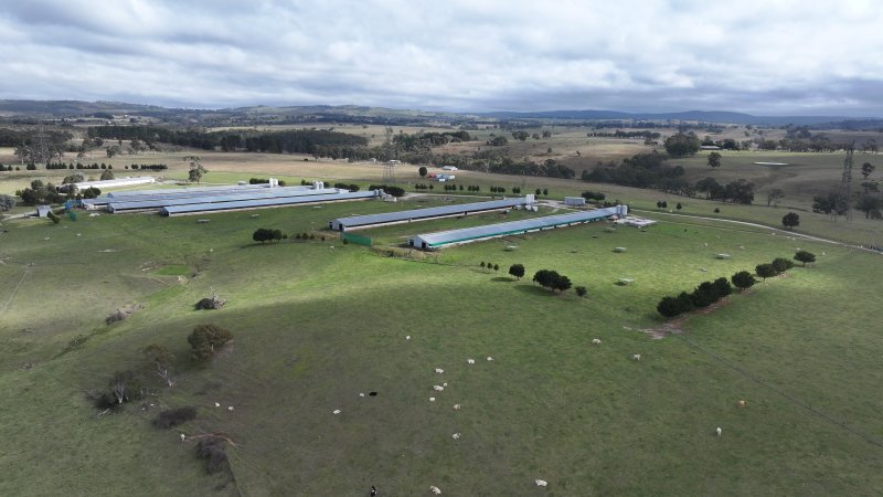 Premier Farms - Closed
