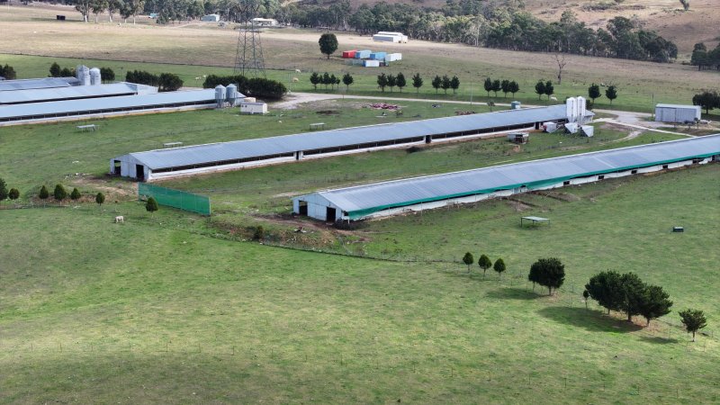 Premier Farms - Closed