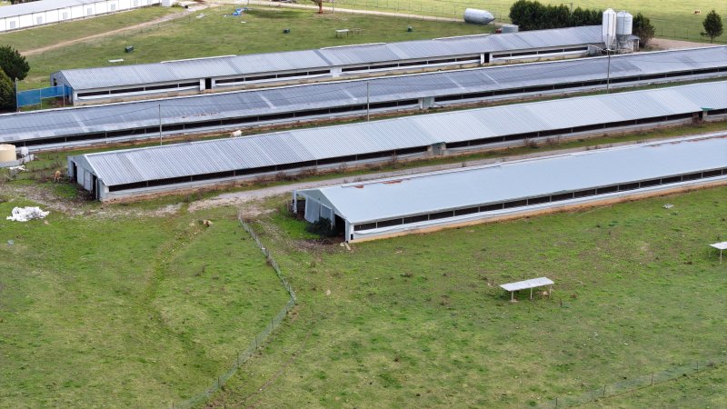 Premier Farms - Closed