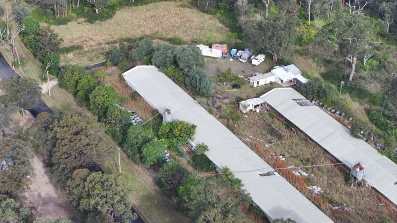 Inghams Broiler Farm - East Kurrajong NSW