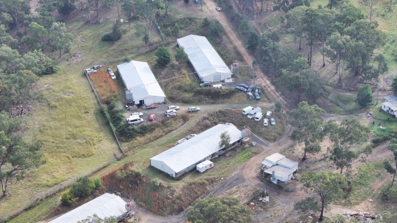 Broiler Farm - East Kurrajong