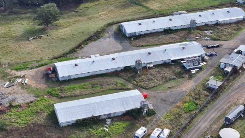 Broiler Farm - East Kurrajong
