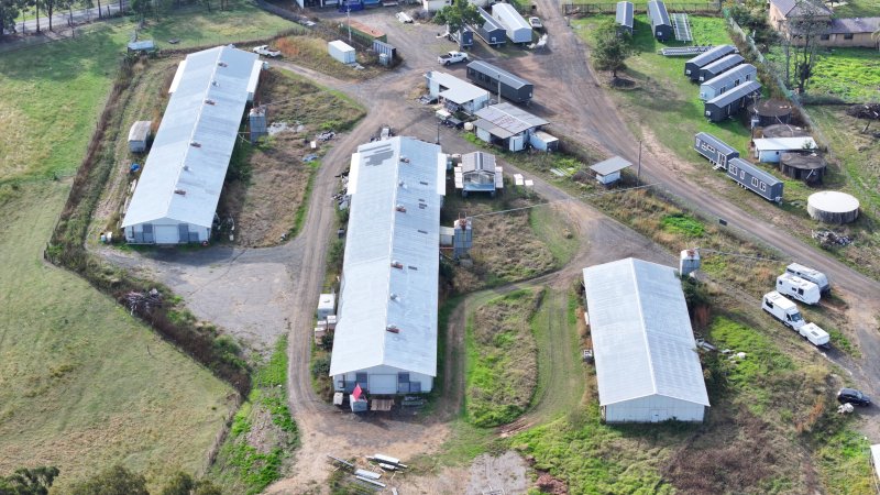 Broiler Farm - East Kurrajong