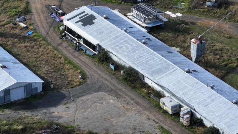 Broiler Farm - East Kurrajong
