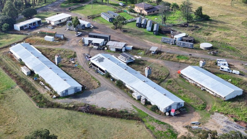 Broiler Farm - East Kurrajong