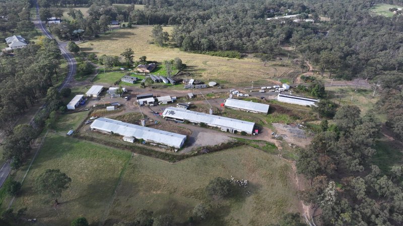 Broiler Farm - East Kurrajong