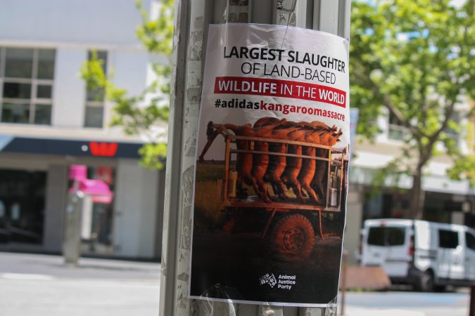 Global Day of Protest at Adidas 2023