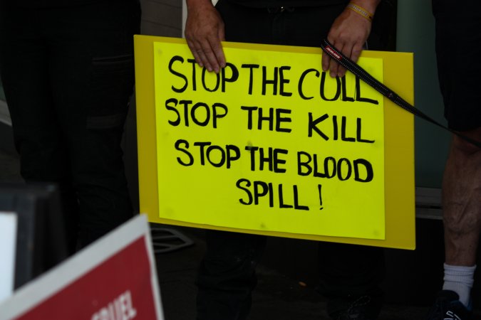 Global Day of Protest at Adidas 2023