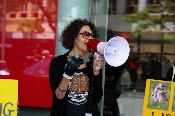 Global Day of Protest at Adidas 2023